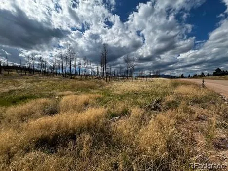 442 Forbes Park Road Fort Garland, CO 81133