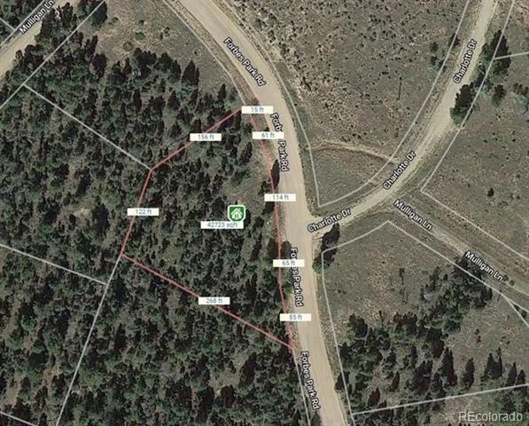 442 Forbes Park Road Fort Garland, CO 81133