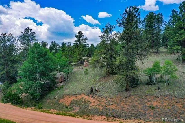 549 Spring Valley Lane Florissant, CO 80816