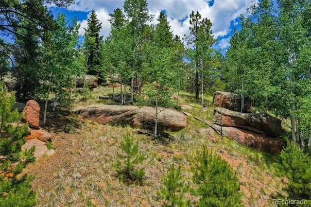 549 Spring Valley Lane Florissant, CO 80816