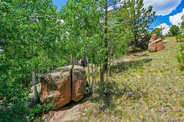 549 Spring Valley Lane Florissant, CO 80816