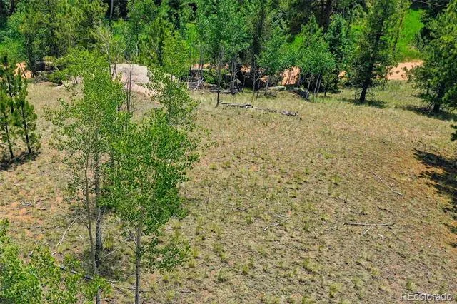 549 Spring Valley Lane Florissant, CO 80816