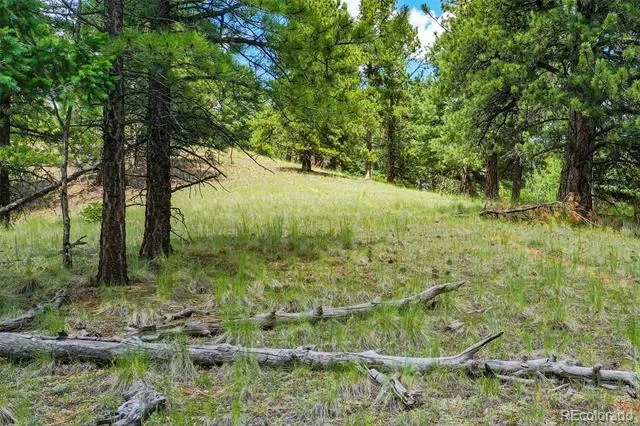 549 Spring Valley Lane Florissant, CO 80816