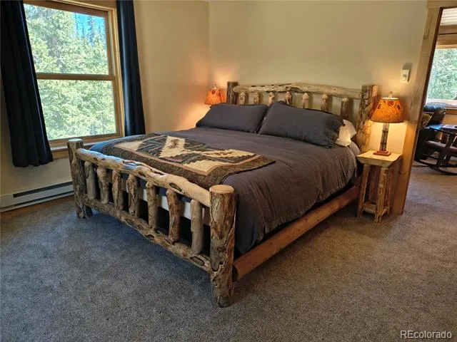 226 Pine Cone Way Fairplay, CO 80440