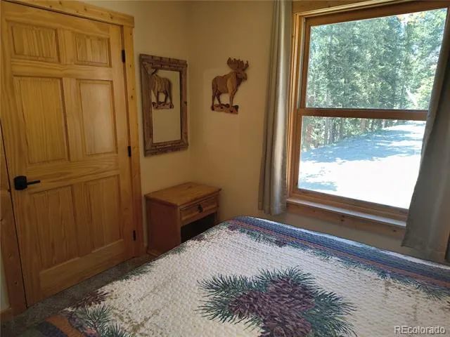 226 Pine Cone Way Fairplay, CO 80440