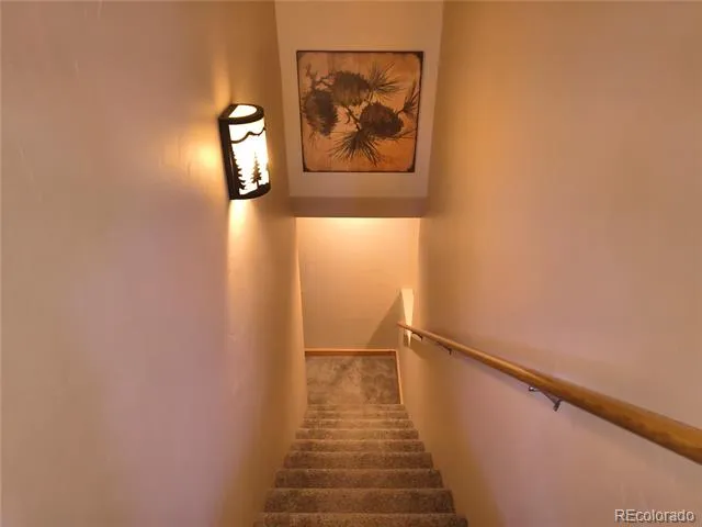 226 Pine Cone Way Fairplay, CO 80440