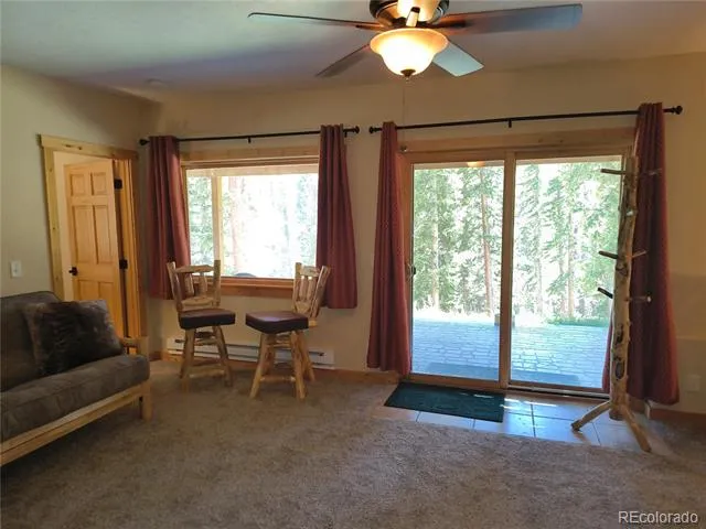 226 Pine Cone Way Fairplay, CO 80440