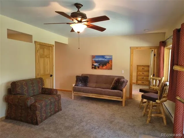 226 Pine Cone Way Fairplay, CO 80440