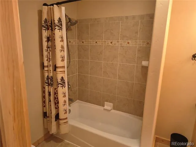 226 Pine Cone Way Fairplay, CO 80440