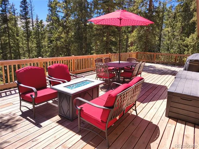 226 Pine Cone Way Fairplay, CO 80440