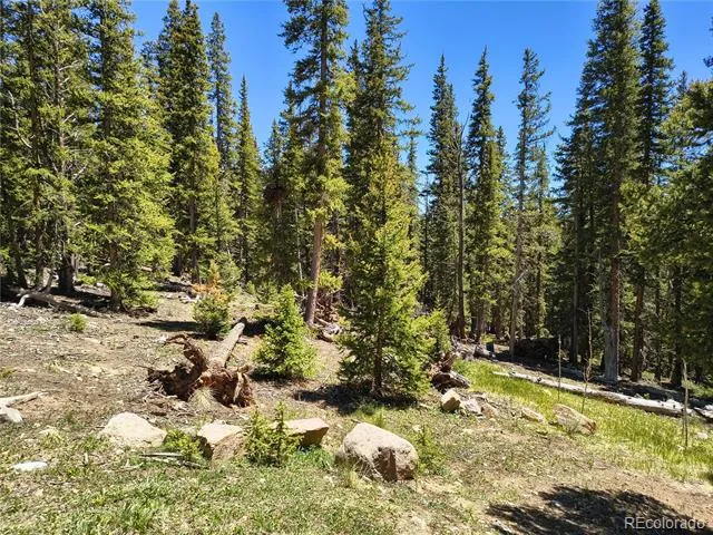 226 Pine Cone Way Fairplay, CO 80440