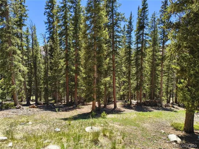 226 Pine Cone Way Fairplay, CO 80440