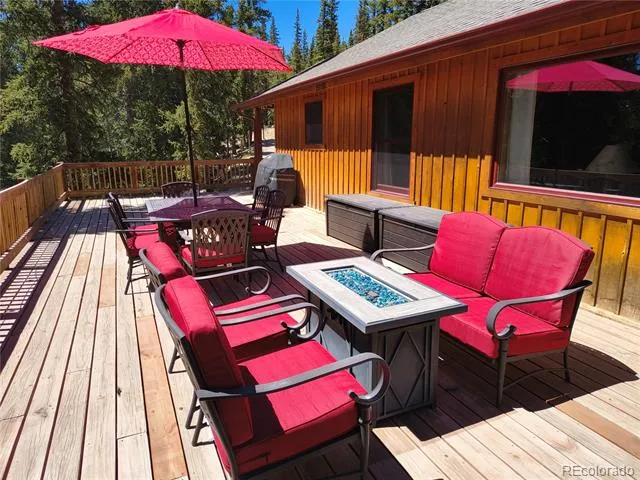 226 Pine Cone Way Fairplay, CO 80440