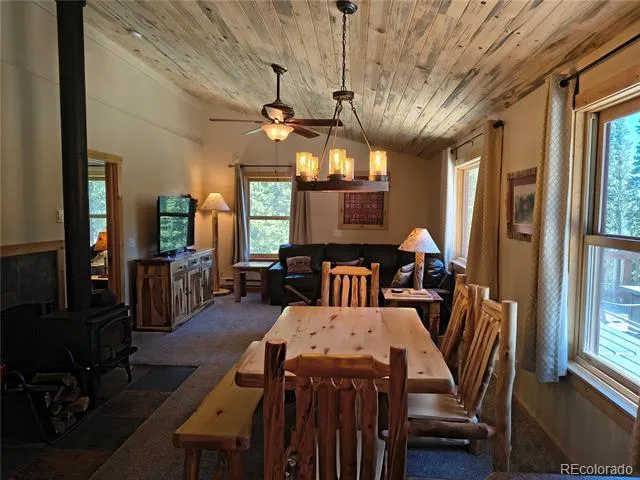 226 Pine Cone Way Fairplay, CO 80440