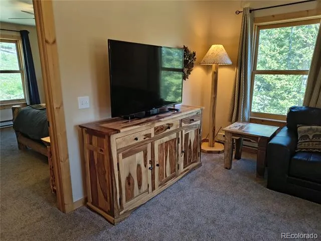 226 Pine Cone Way Fairplay, CO 80440