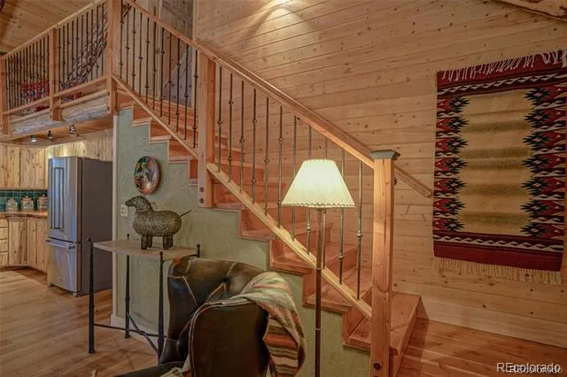236 Mill Run Road Mosca, CO 81146