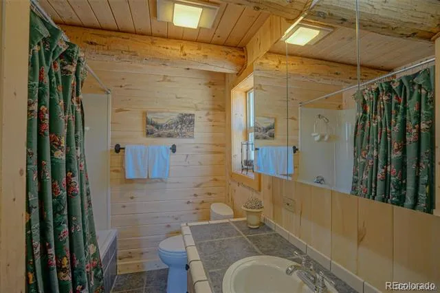 236 Mill Run Road Mosca, CO 81146