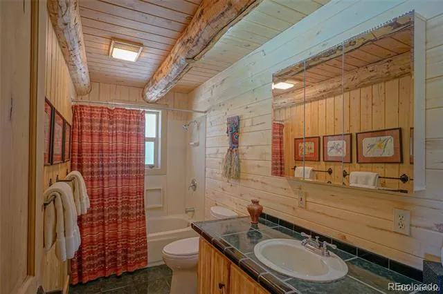 236 Mill Run Road Mosca, CO 81146