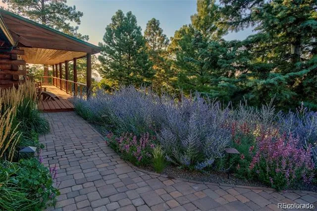 236 Mill Run Road Mosca, CO 81146