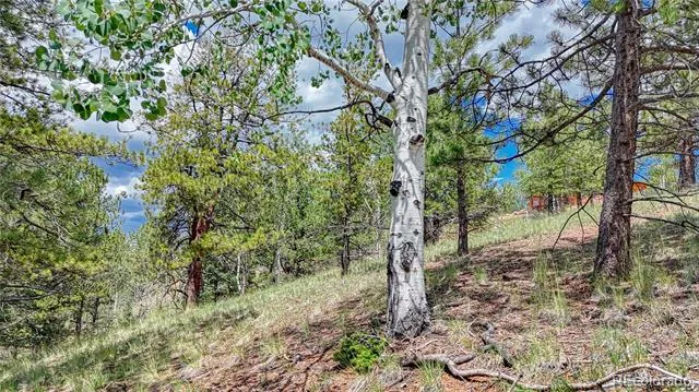 24 Wild Horse Circle Cripple Creek, CO 80813
