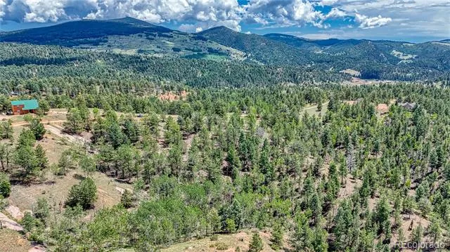 24 Wild Horse Circle Cripple Creek, CO 80813