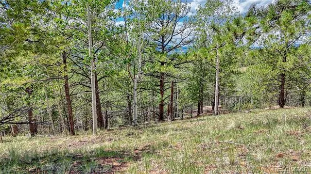 24 Wild Horse Circle Cripple Creek, CO 80813