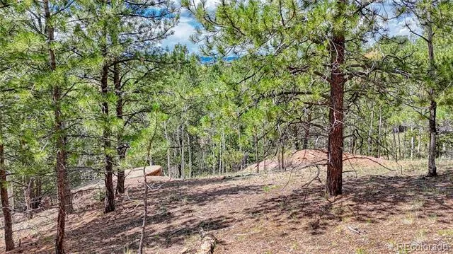 24 Wild Horse Circle Cripple Creek, CO 80813