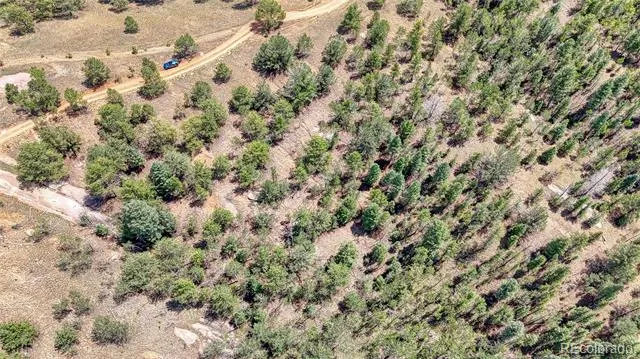 24 Wild Horse Circle Cripple Creek, CO 80813