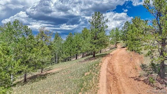 24 Wild Horse Circle Cripple Creek, CO 80813