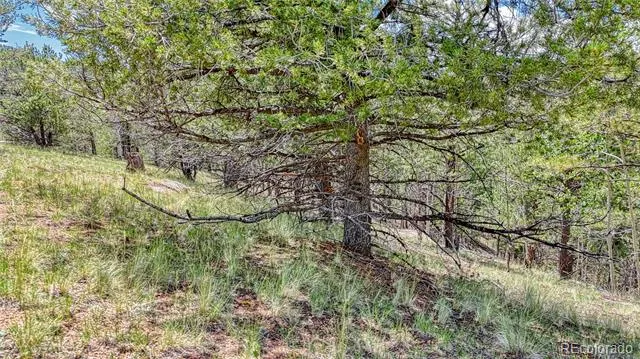 24 Wild Horse Circle Cripple Creek, CO 80813