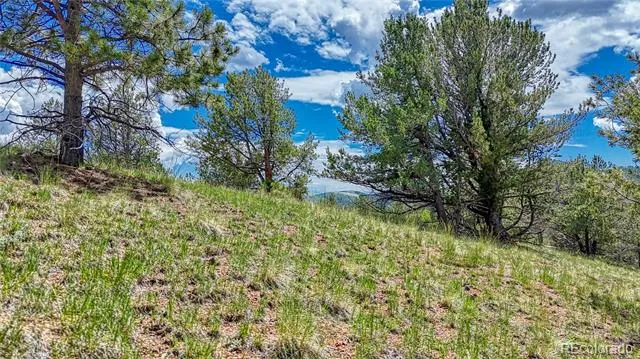 24 Wild Horse Circle Cripple Creek, CO 80813