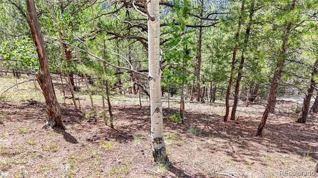 24 Wild Horse Circle Cripple Creek, CO 80813