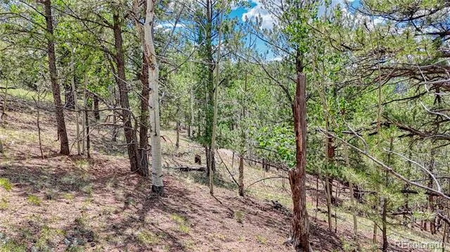 24 Wild Horse Circle Cripple Creek, CO 80813