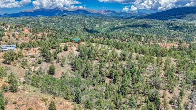 24 Wild Horse Circle Cripple Creek, CO 80813