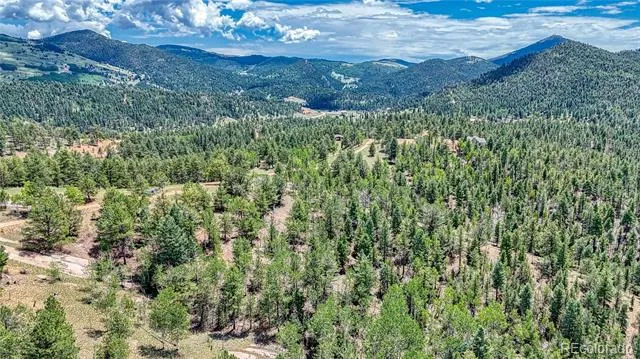 24 Wild Horse Circle Cripple Creek, CO 80813