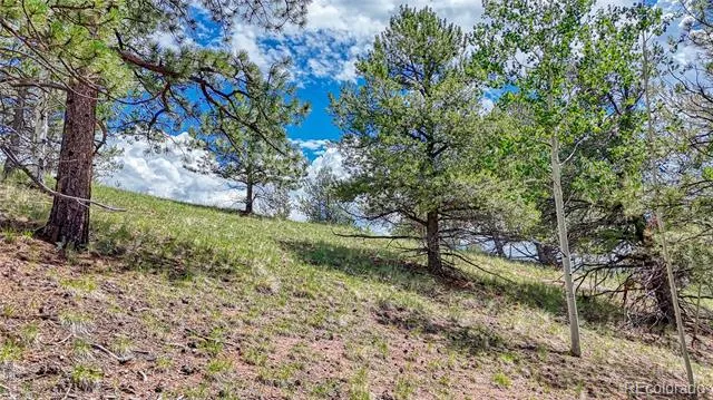 24 Wild Horse Circle Cripple Creek, CO 80813