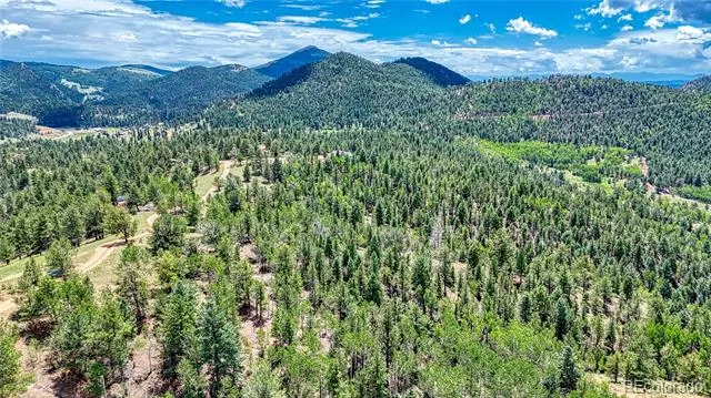 24 Wild Horse Circle Cripple Creek, CO 80813