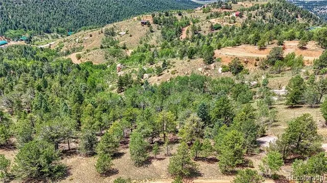 24 Wild Horse Circle Cripple Creek, CO 80813