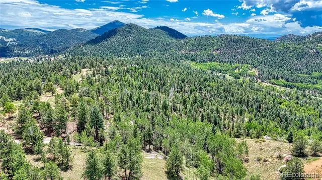 24 Wild Horse Circle Cripple Creek, CO 80813