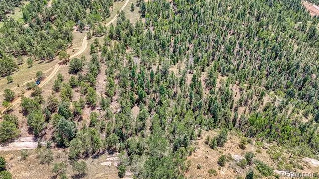 24 Wild Horse Circle Cripple Creek, CO 80813