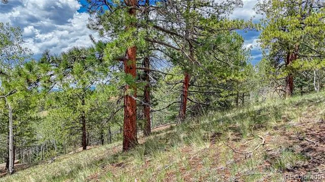 24 Wild Horse Circle Cripple Creek, CO 80813