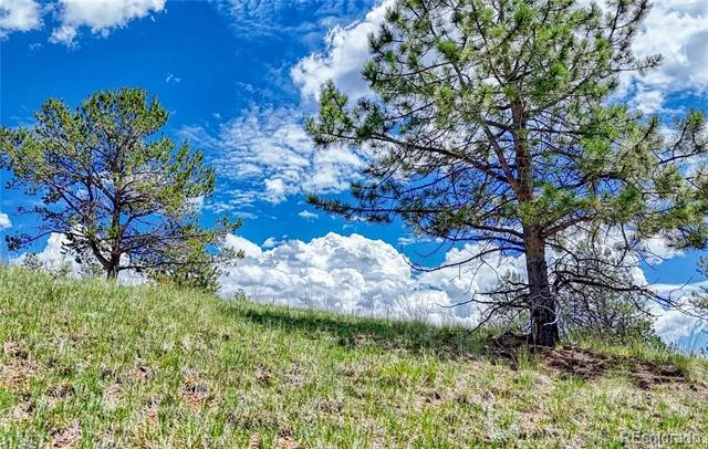 24 Wild Horse Circle Cripple Creek, CO 80813