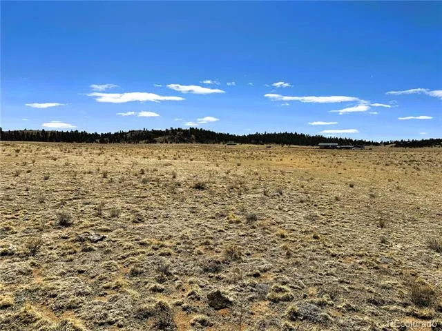 Lot 52 Gila Way Hartsel, CO 80449