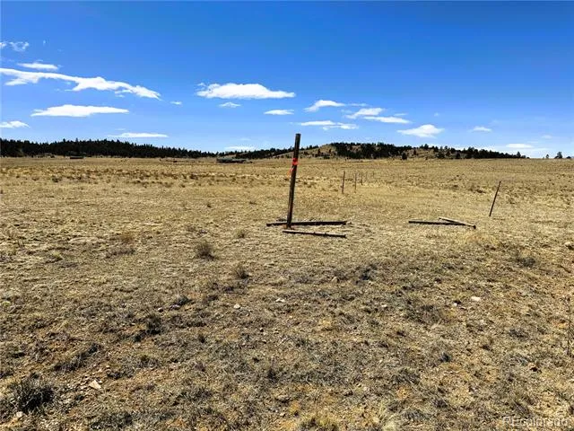 Lot 52 Gila Way Hartsel, CO 80449