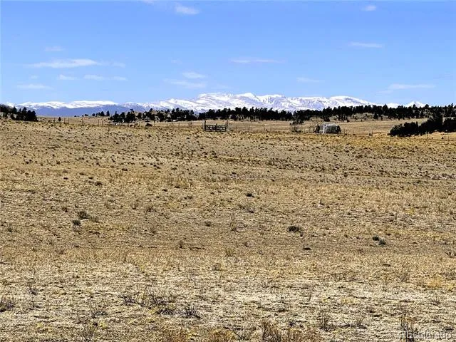 Lot 52 Gila Way Hartsel, CO 80449