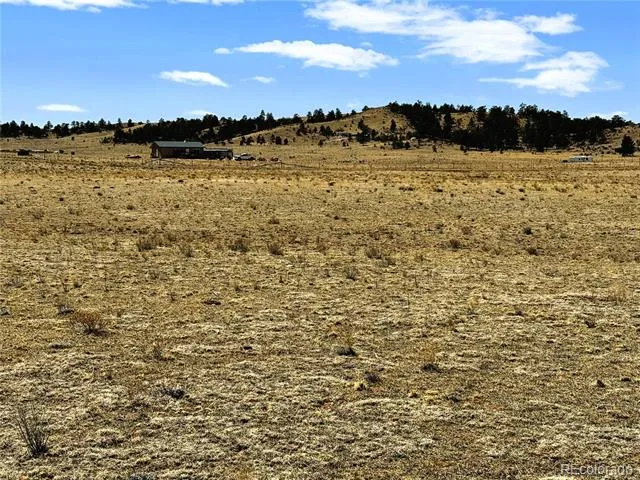 Lot 52 Gila Way Hartsel, CO 80449