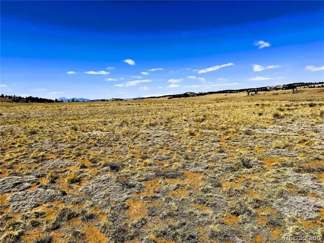 Lot 52 Gila Way Hartsel, CO 80449