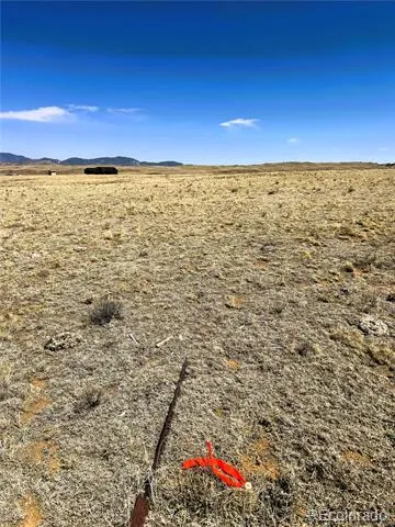 Lot 52 Gila Way Hartsel, CO 80449