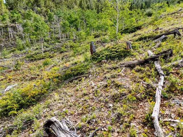 751 Lamb Mountain Road Fairplay, CO 80440