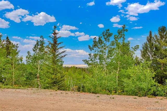 751 Lamb Mountain Road Fairplay, CO 80440